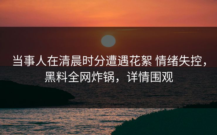 当事人在清晨时分遭遇花絮 情绪失控，黑料全网炸锅，详情围观
