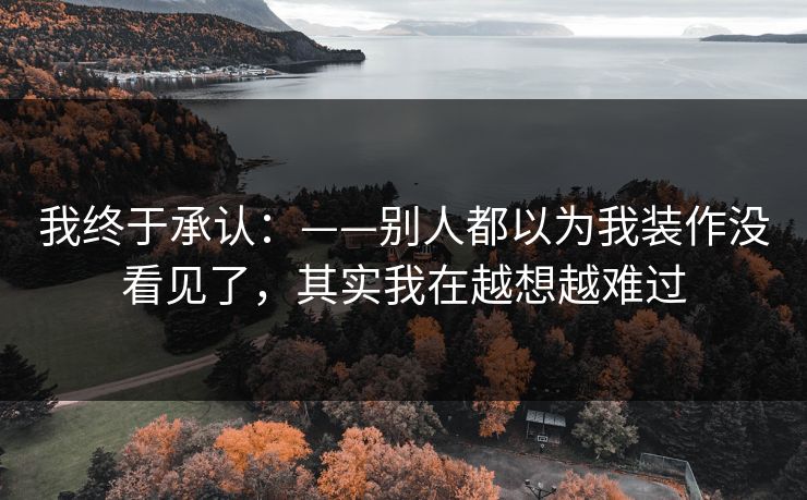 我终于承认：——别人都以为我装作没看见了，其实我在越想越难过