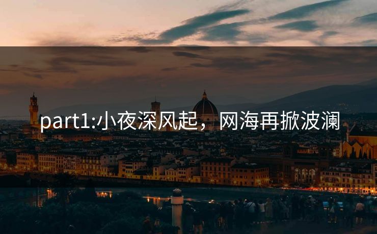 part1:小夜深风起，网海再掀波澜