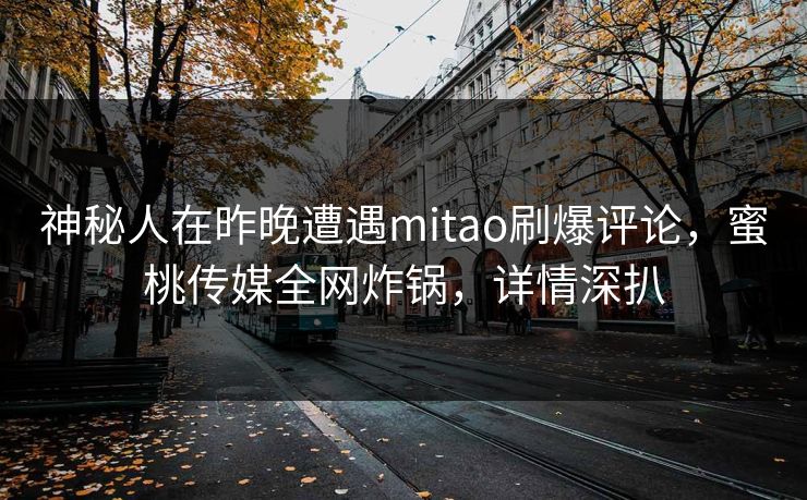 神秘人在昨晚遭遇mitao刷爆评论，蜜桃传媒全网炸锅，详情深扒