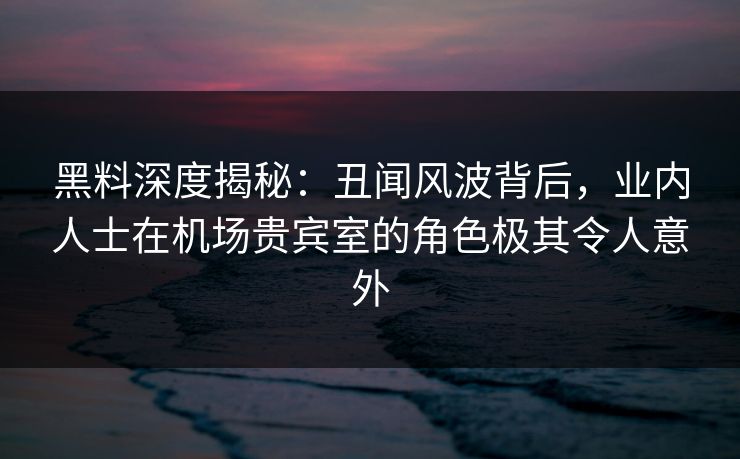 黑料深度揭秘：丑闻风波背后，业内人士在机场贵宾室的角色极其令人意外